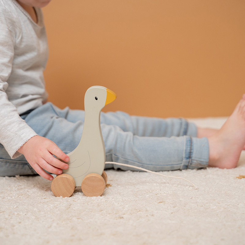 LD7071 - Pull along Little Goose (1) (1)