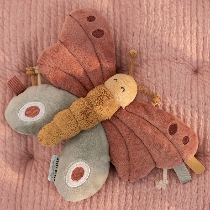 LD8721-Activity-Butterfly (1)