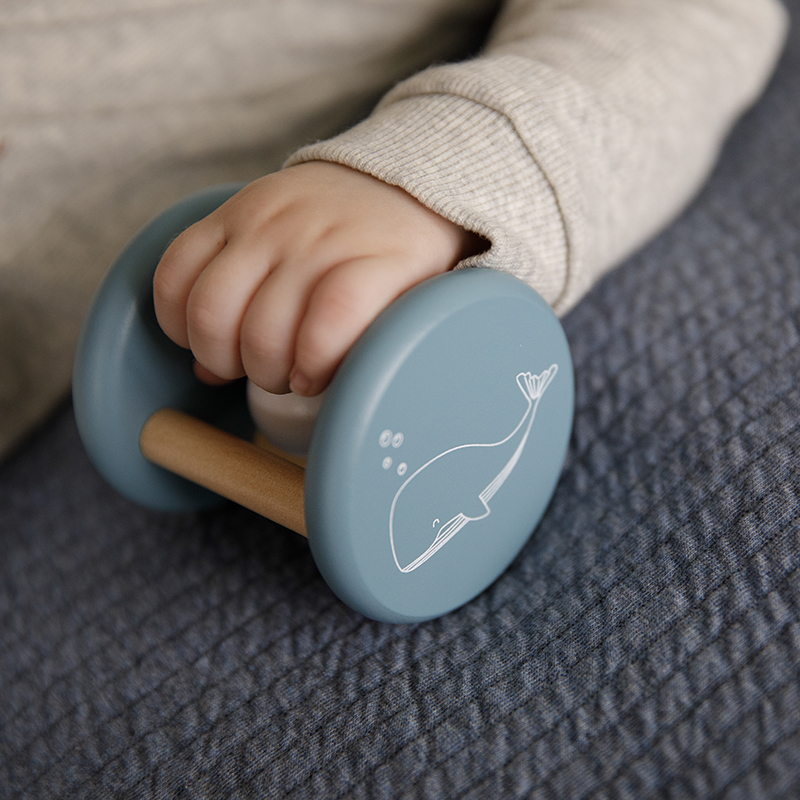 LD7010 - Roller Rattle Blue (5)
