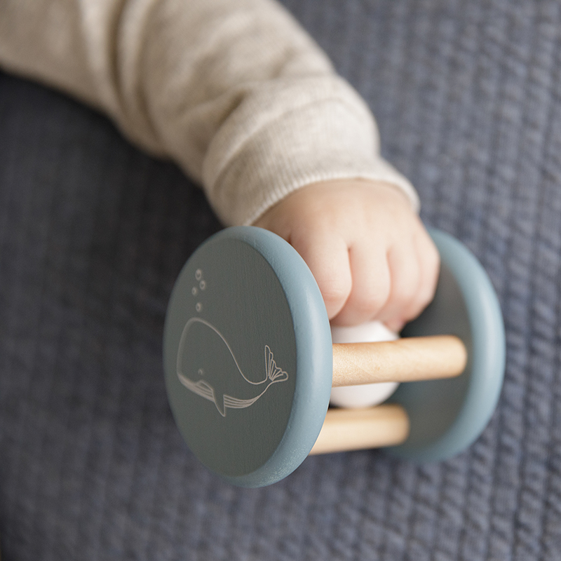 LD7010 - Roller Rattle Blue (8)