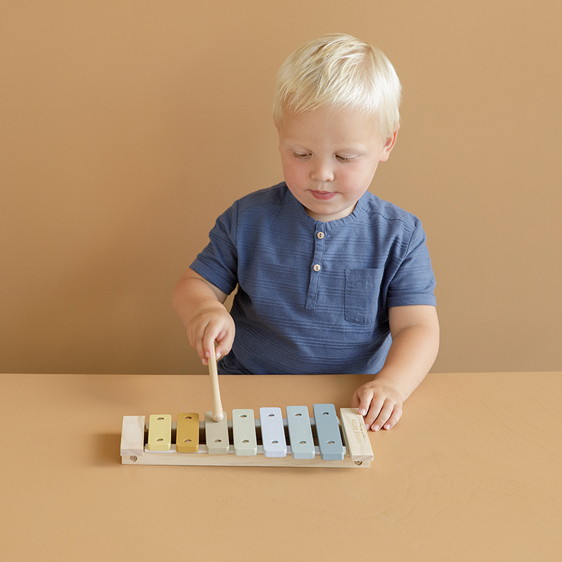 LD7017 - Xylophone Blue (7)