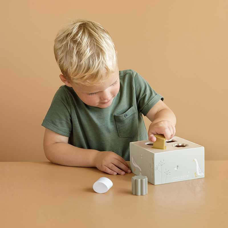 LD7024 - Shape Sorter Little Goose (39)