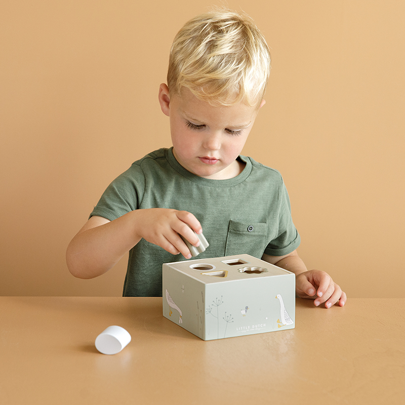 LD7024 - Shape Sorter Little Goose (41)