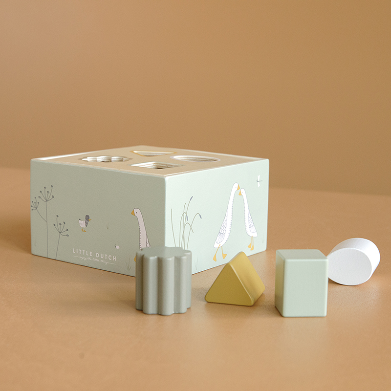 LD7024 - Shape Sorter Little Goose (47)