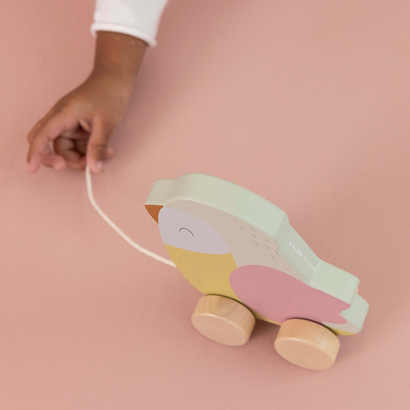 LD7086 - Pull along Bird (3)
