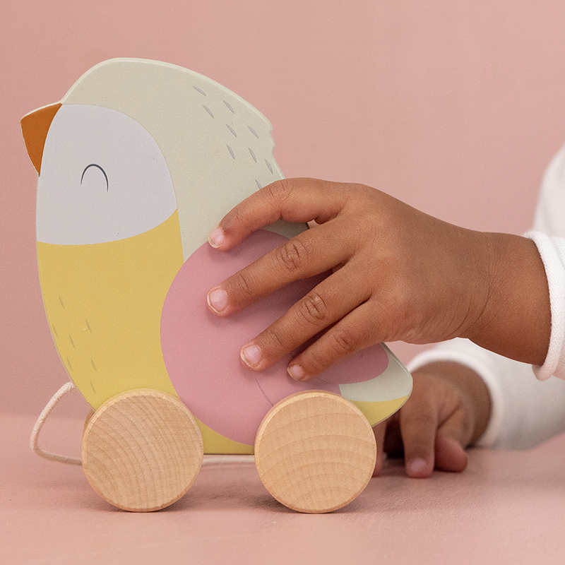 LD7086 - Pull along Bird (4)